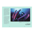 We Are Explorers: Extraordinary women who discovered the world by Kari Herbert