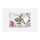 With a Little Kelp from Our Friends: The Secret Life of Seaweed: History, Culture and Environment by Mathew Bate