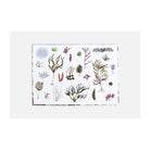 With a Little Kelp from Our Friends: The Secret Life of Seaweed: History, Culture and Environment by Mathew Bate