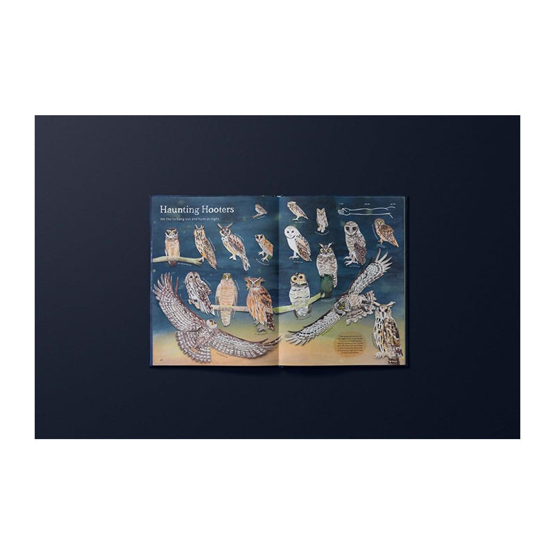 Wonders Under the Moon: A Collection of Night-time Creatures by Tai Snaith