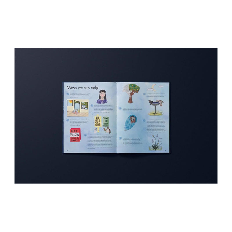 Wonders Under the Moon: A Collection of Night-time Creatures by Tai Snaith