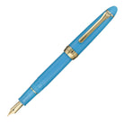 SAILOR Shikiori Kusa Asobi Fountain Pen Fine Sasabune