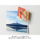 MIDORI Miniature Magnet Sushi