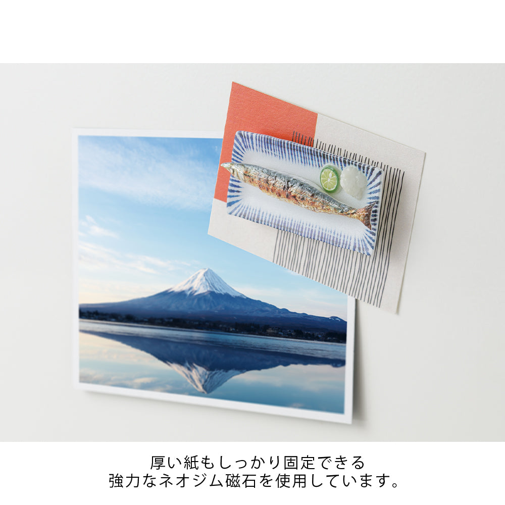 MIDORI Miniature Magnet Samma