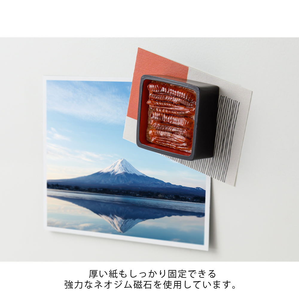 MIDORI Miniature Magnet Unajyu