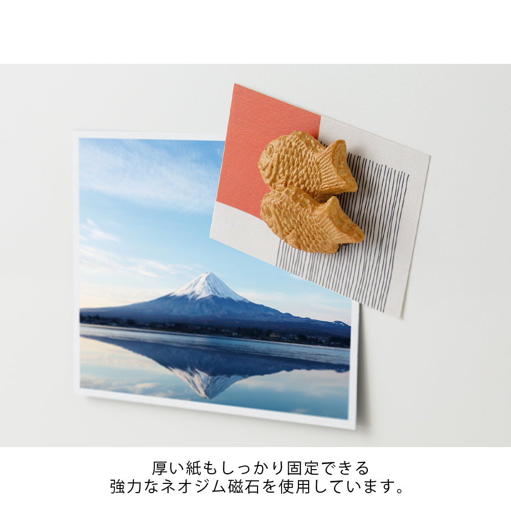 MIDORI Miniature Magnet Taiyaki