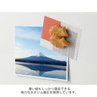 MIDORI Miniature Magnet Taiyaki