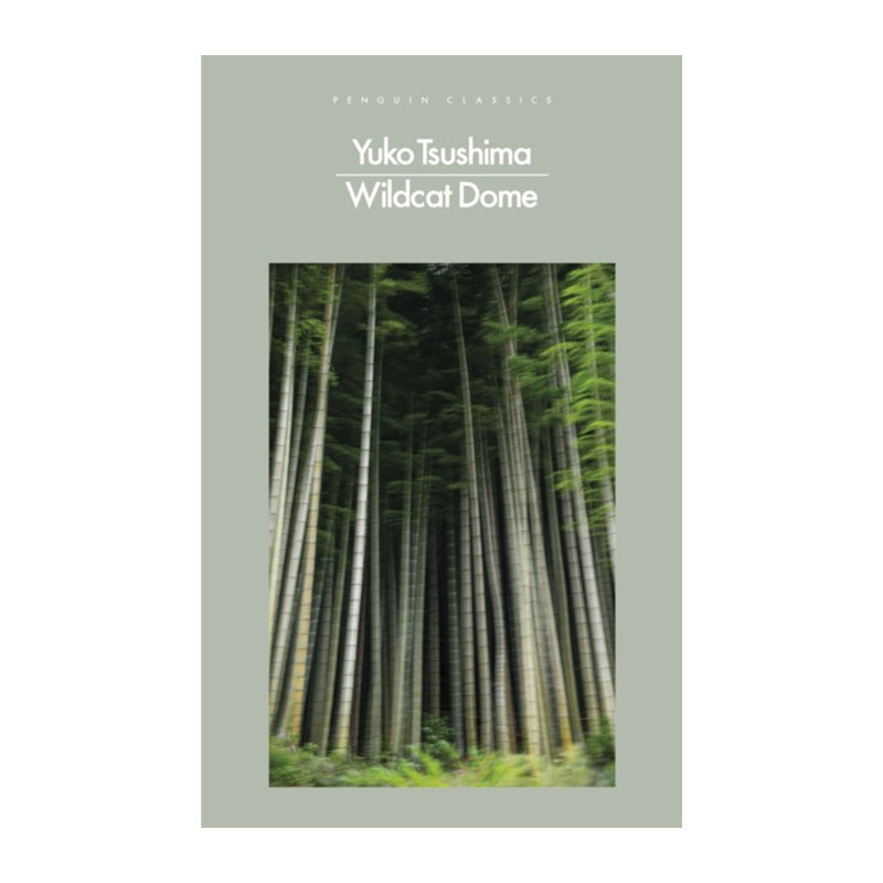 Wildcat Dome by Yukio Tsushima