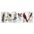 FIELD NOTES QE Birds And Trees of North America 3-Pack Pack C