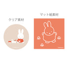 MIFFY x greenflash Sticker Set Toy