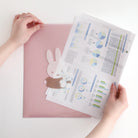 MIFFY x greenflash Pocket Clear File A4 Favorite