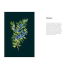 A Forager's Guide to Wild Drinks: Ferments, Infusions and Thirst-Quenchers For Every Season by Liz Knight