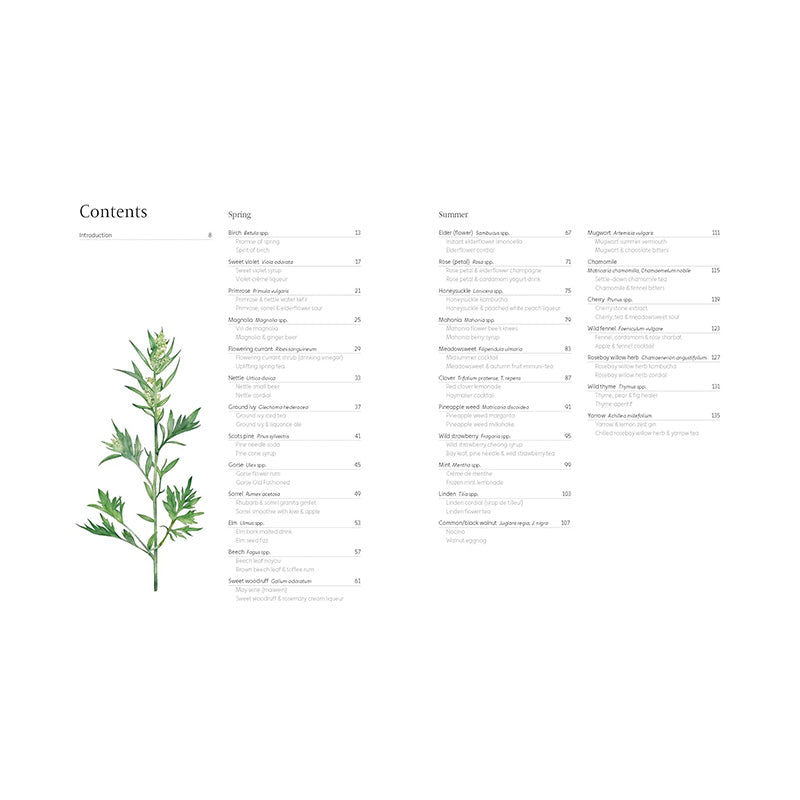 A Forager's Guide to Wild Drinks: Ferments, Infusions and Thirst-Quenchers For Every Season by Liz Knight