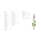 A Forager's Guide to Wild Drinks: Ferments, Infusions and Thirst-Quenchers For Every Season by Liz Knight