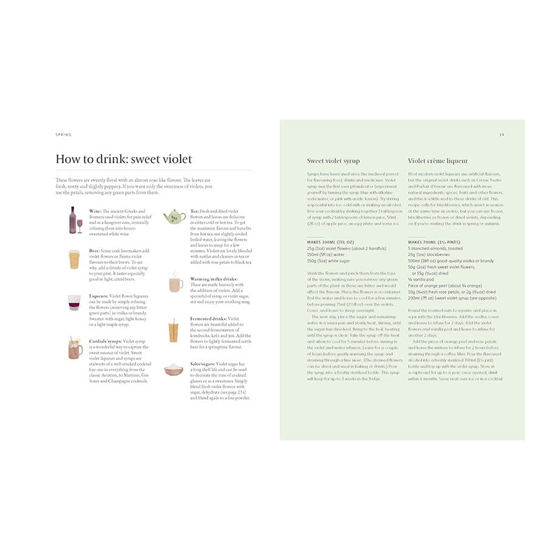 A Forager's Guide to Wild Drinks: Ferments, Infusions and Thirst-Quenchers For Every Season by Liz Knight