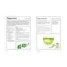 The Medicinal Garden: Treat, Feed and Soothe Straight From Your Garden by Caroline Parker, Illustrated By Lucy Mora