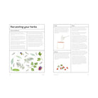 The Medicinal Garden: Treat, Feed and Soothe Straight From Your Garden by Caroline Parker, Illustrated By Lucy Mora