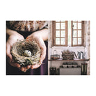 How to French Country: Colour and Design Inspiration From Southwest France by Sara Silm