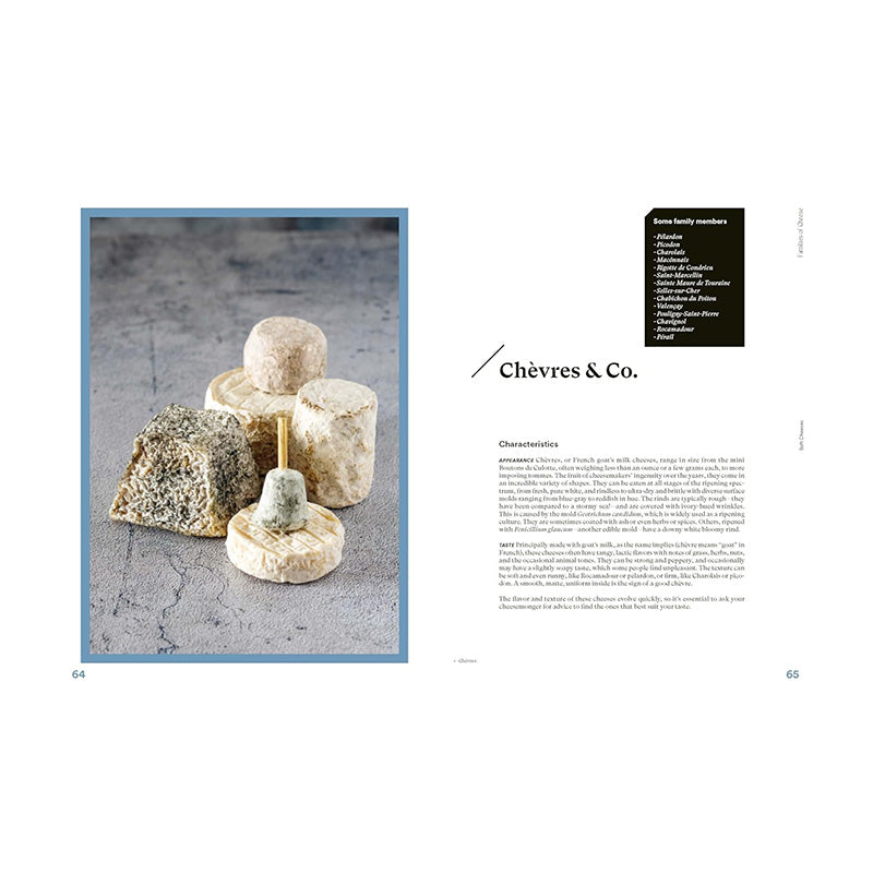 The Complete Book of Cheese: History, Techniques, Recipes, Tips by Anne-Laure Pham and Mathieu Plantive