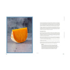 The Complete Book of Cheese: History, Techniques, Recipes, Tips by Anne-Laure Pham and Mathieu Plantive