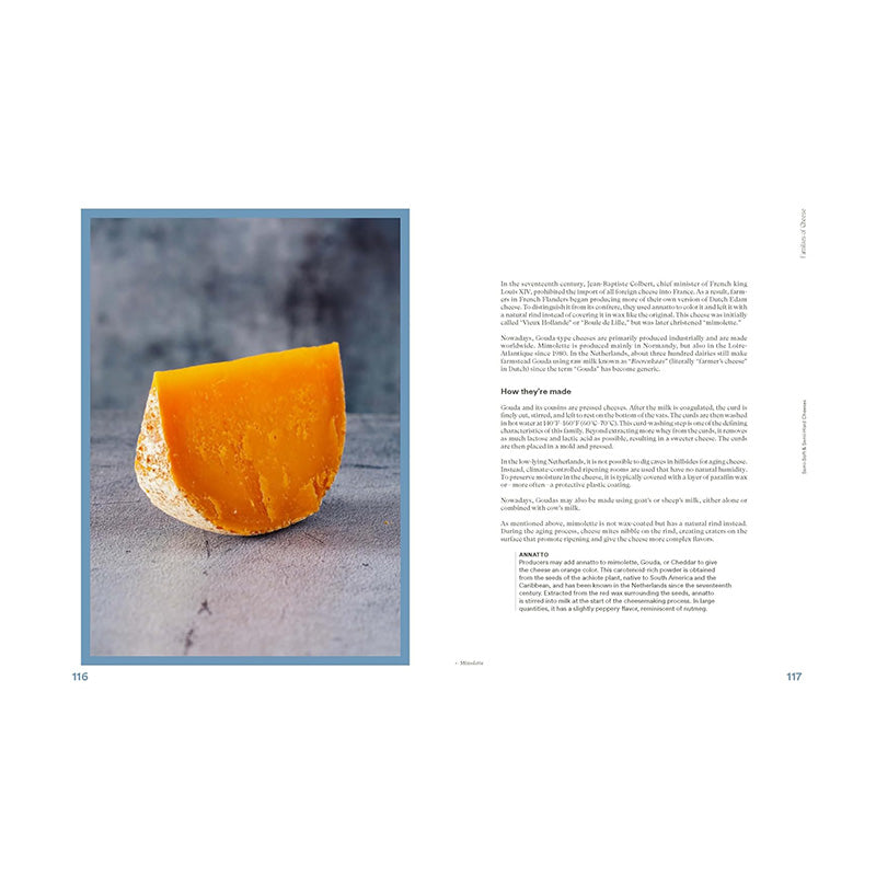 The Complete Book of Cheese: History, Techniques, Recipes, Tips by Anne-Laure Pham and Mathieu Plantive