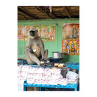 India Local: Classic Street Food Recipes by Sonal Ved and Karam Puri