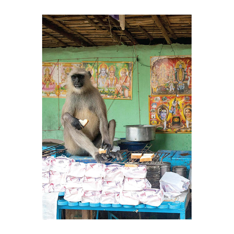 India Local: Classic Street Food Recipes by Sonal Ved and Karam Puri