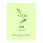 The Herbal Sutra: Indian Wisdom & Wellness Through 100 Herbs by Madhulika Banerjee