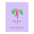 The Herbal Sutra: Indian Wisdom & Wellness Through 100 Herbs by Madhulika Banerjee