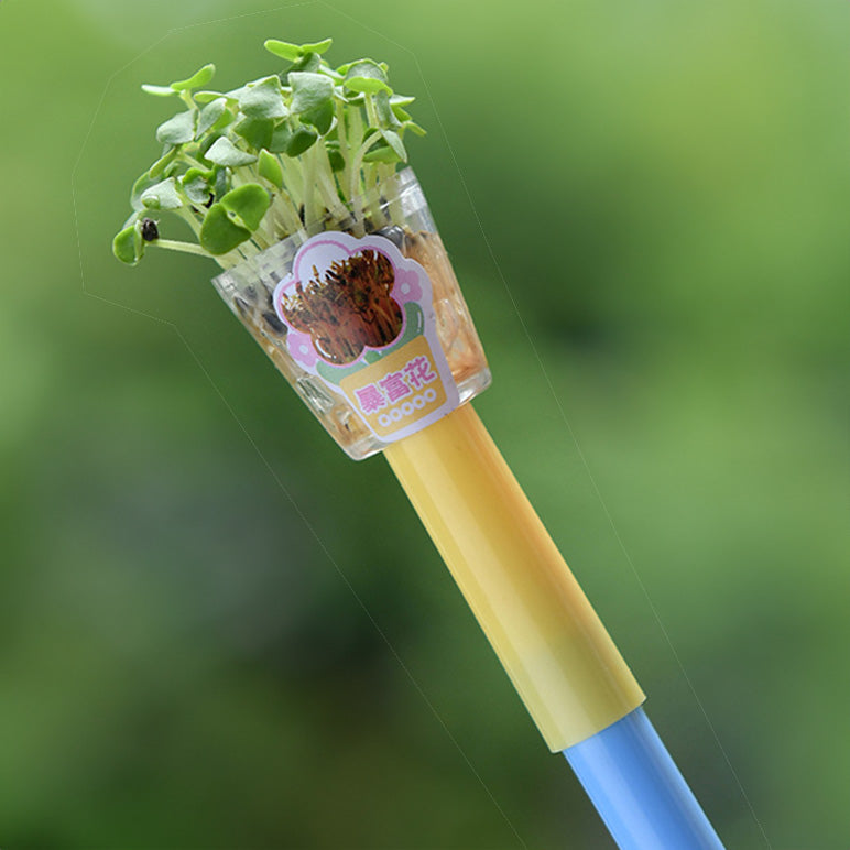 MORN SHINE Mini Plant Pen Lucky Rich Bloom