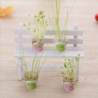 MORN SHINE Mini Plant Pen Opaque Barrel Assorted (Random) / Random