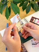 LOKAMADE Adventure Seals Set Luggage Sticker ASS12: Meowgazine