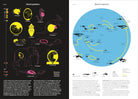 Phenomena: An Infographic Guide to Almost Everything by Camille Juzeau