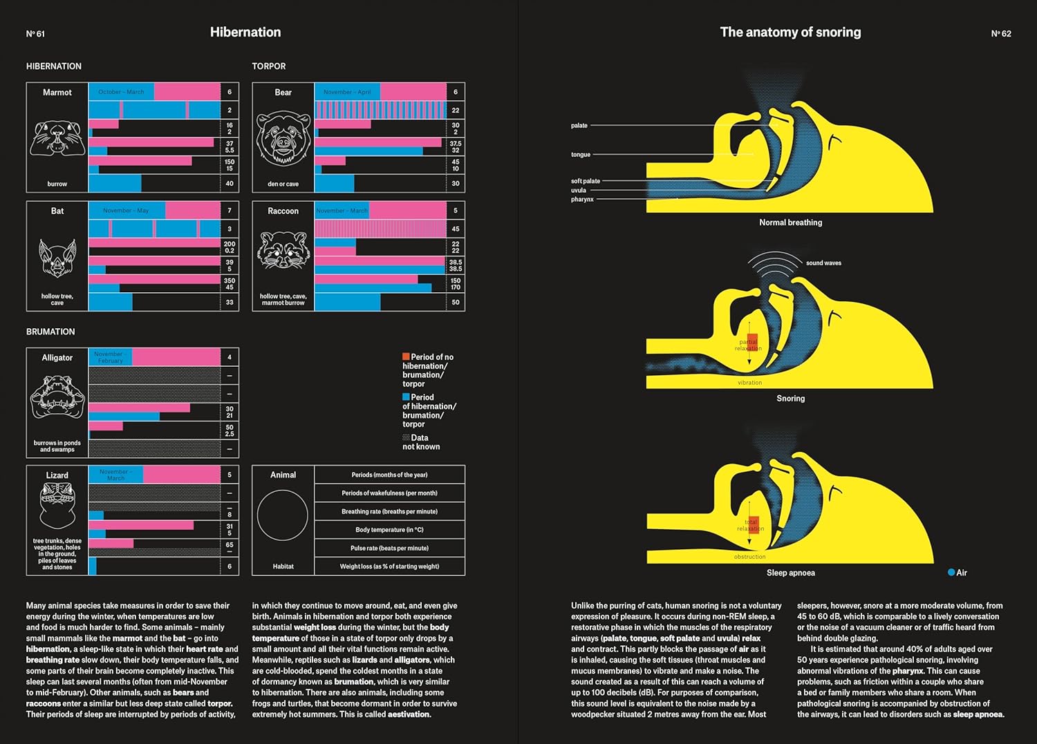 Phenomena: An Infographic Guide to Almost Everything by Camille Juzeau
