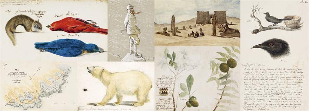 Explorers' Sketchbooks: The Art of Discovery & Adventure by Huw Lewis-Jones & Kari Herbert
