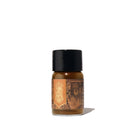 FERRIS WHEEL PRESS Fountain Pen Ink 10ml Russet Typecase