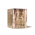 FERRIS WHEEL PRESS Fountain Pen Ink 20ml Ferritales Curious Woods