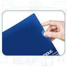 KOKUYO x eric Campus Clear Folder A4 4-Colour Set