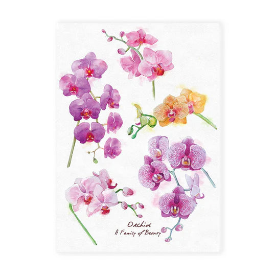 LOKAMADE Malaysia Series Postcard MSP41: A Family of Beauty