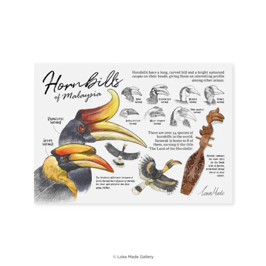 LOKAMADE Lokapedia Postcard MSP153: Hornbills of Malaysia