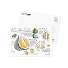 LOKAMADE Lokapedia Postcard Set MSPS11: Series 8 in 1