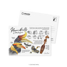 LOKAMADE Lokapedia Postcard Set MSPS12: Collectible Set 2 8 in 1
