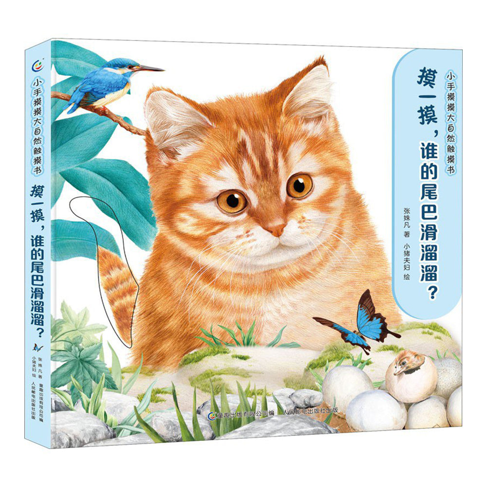 摸一摸，谁的尾巴滑溜溜？ - 张姝凡