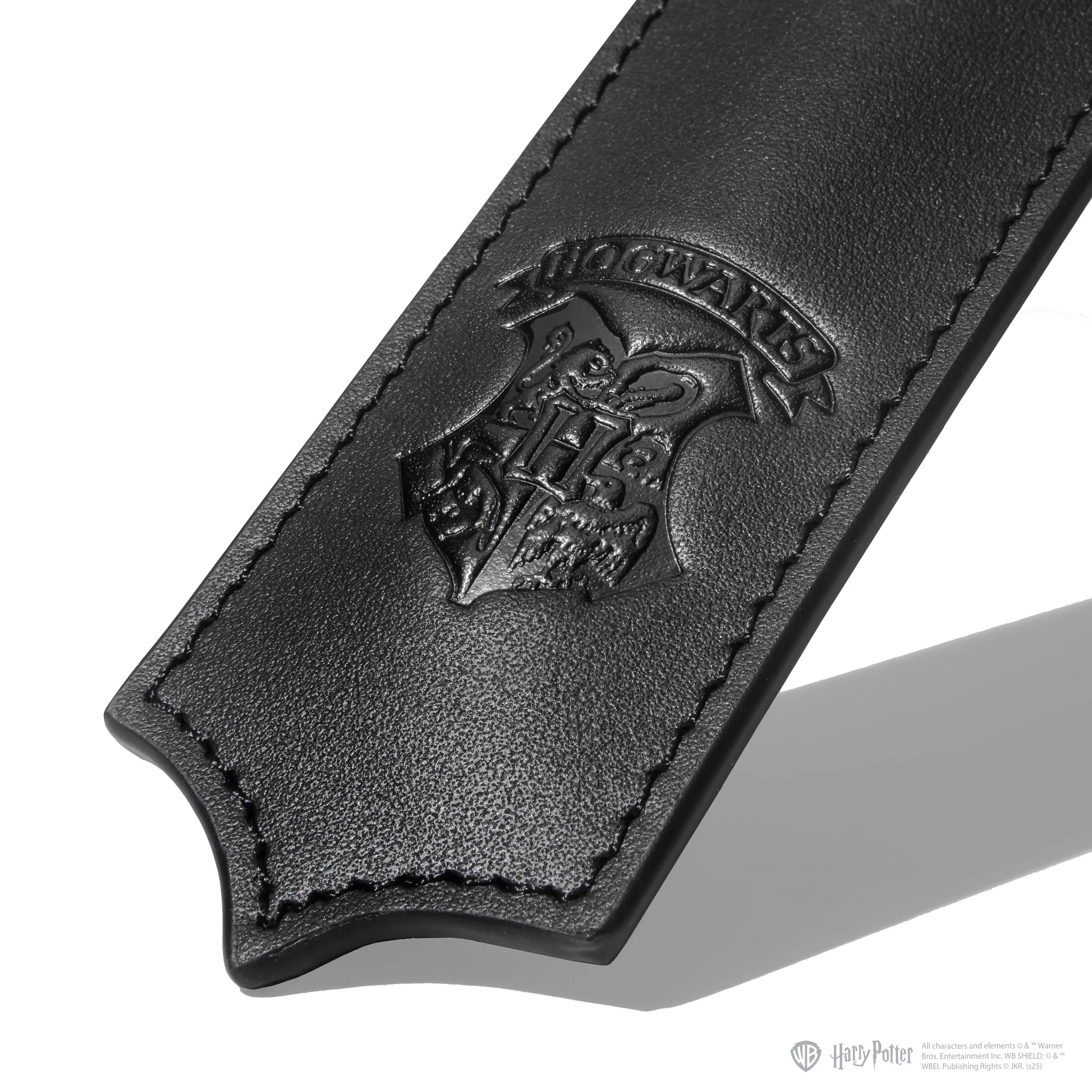 FERRIS WHEEL PRESS x Harry Potter Joule Fountain Pen Slytherin