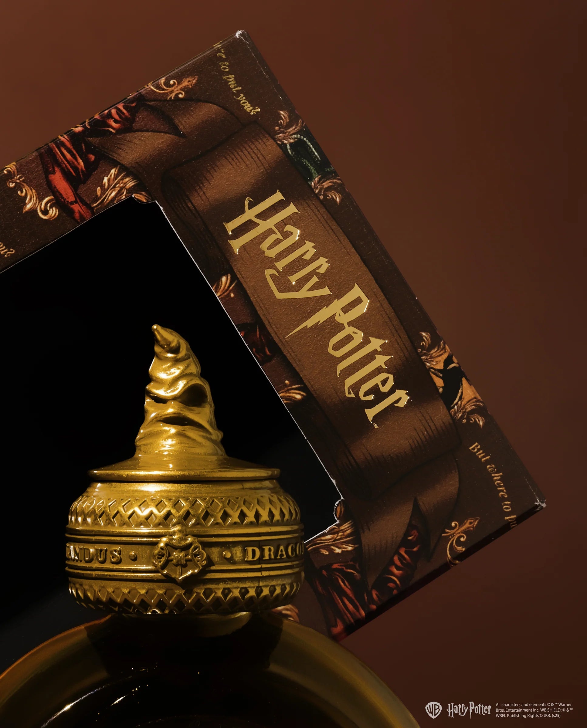 FERRIS WHEEL PRESS x Harry Potter Fountain Pen Ink 38ml The Sorting Hat