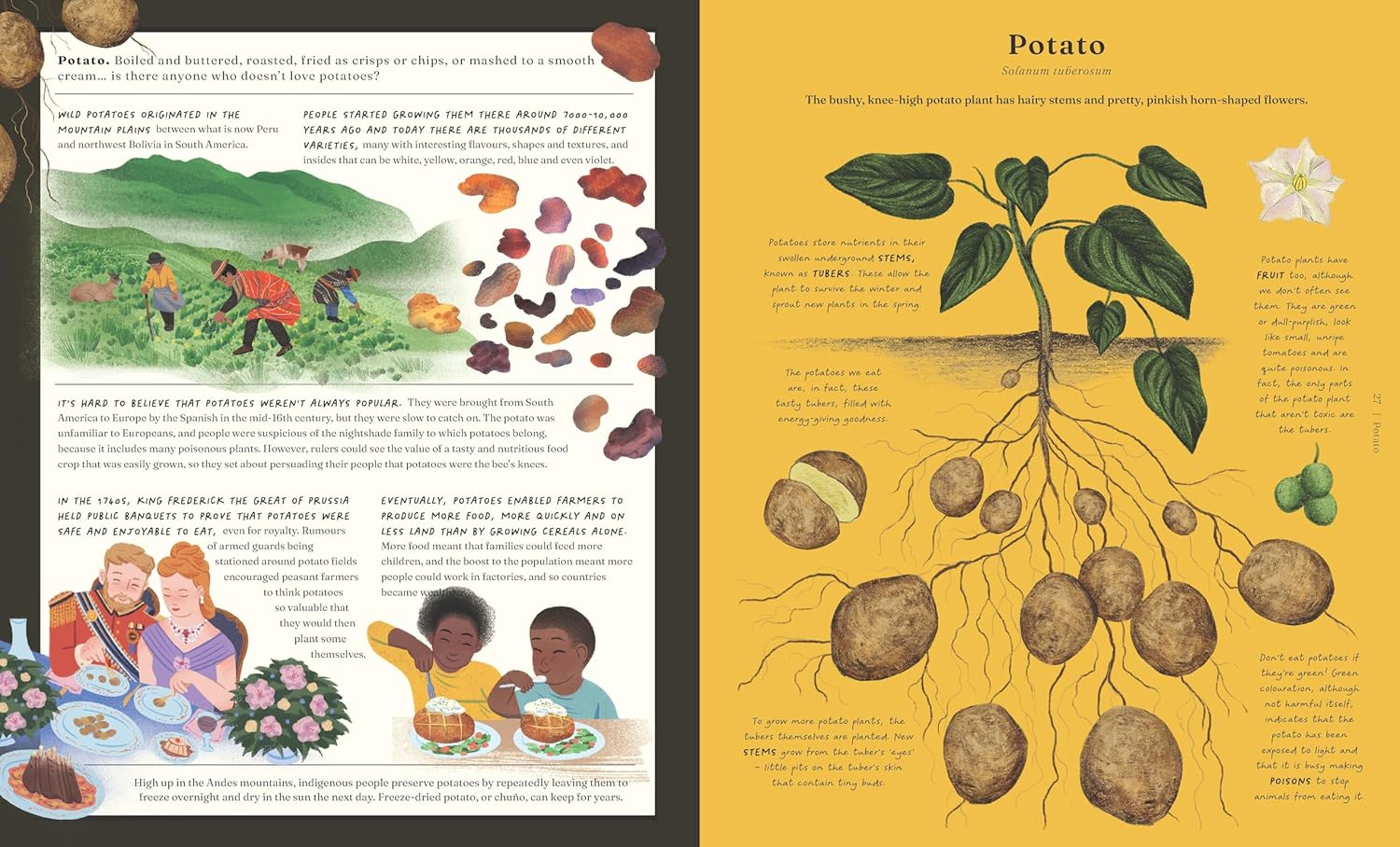 The Stuff that Stuff is Made of by Drori Jonathan