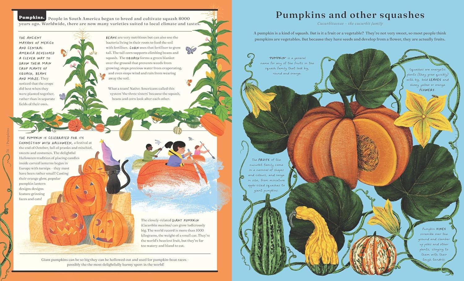 The Stuff that Stuff is Made of by Drori Jonathan