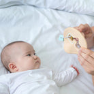 PLAN TOYS Shape Sorter