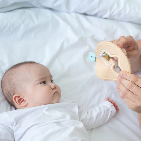 PLAN TOYS Shape Sorter