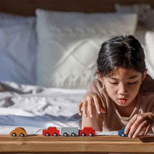 PLAN TOYS Mini Car Set